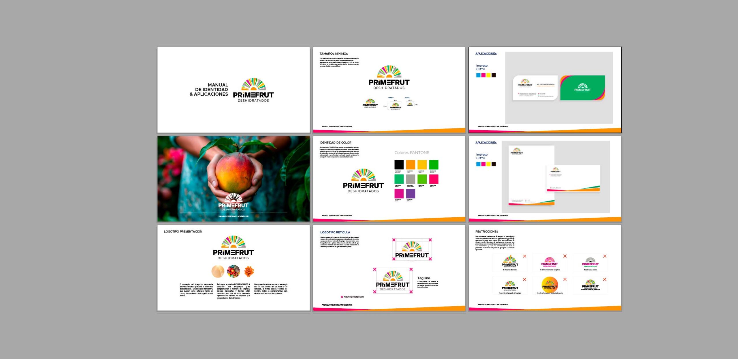 Manual de identidad Corporativa, Color, Tipografías, Conceptos Gráficos